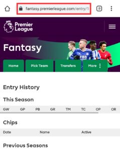 Find your FPL ID - FPL Team