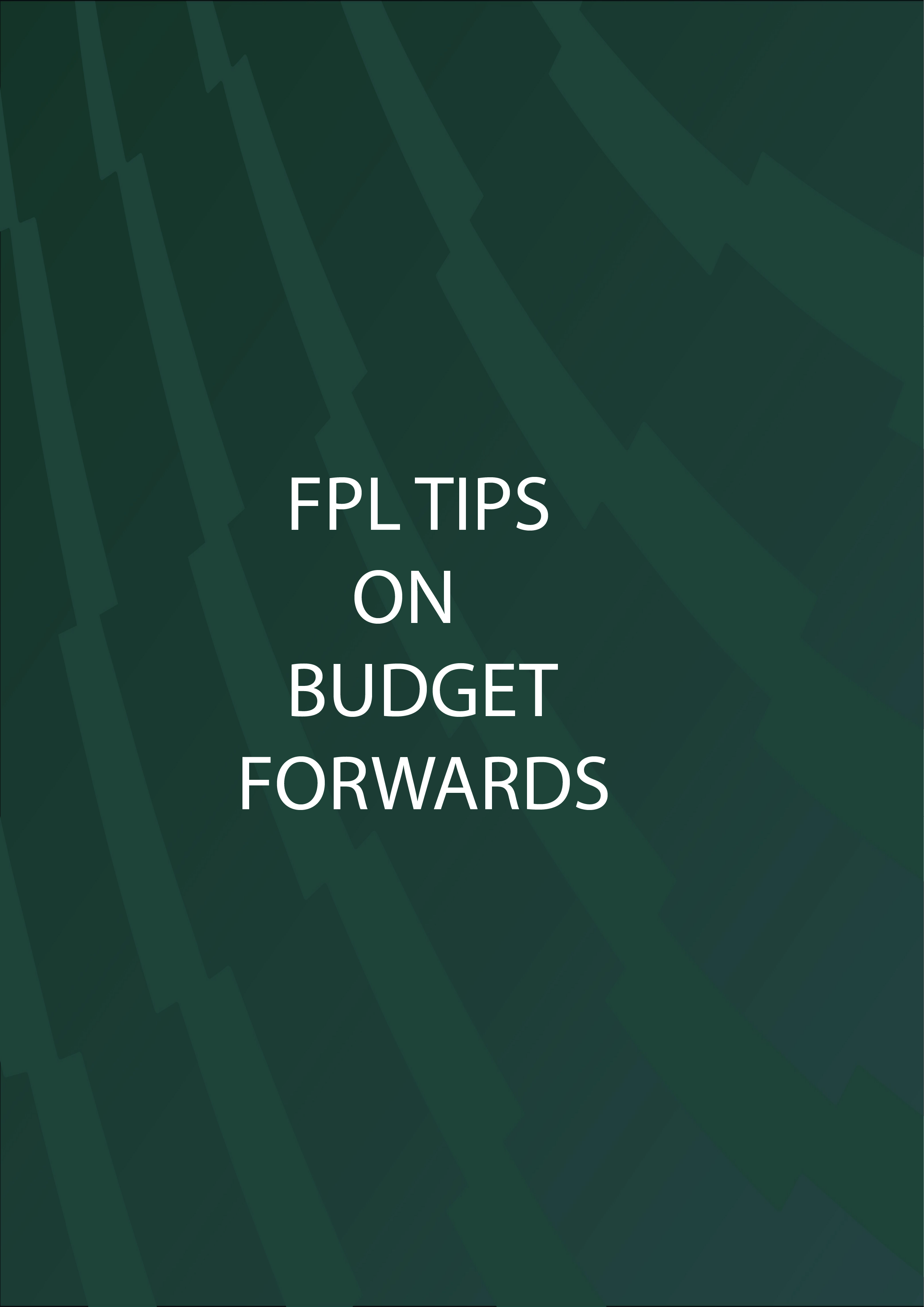 Manage your budget efficiently with these budget Forwards